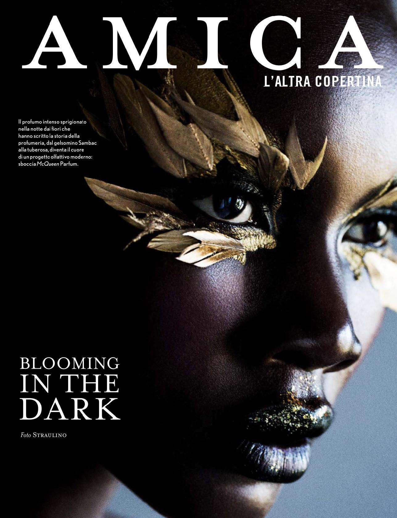 Magazine